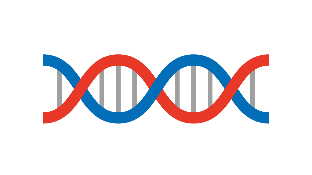 Dna Sign Language DNA | STEM Methodologies In Sign Languages