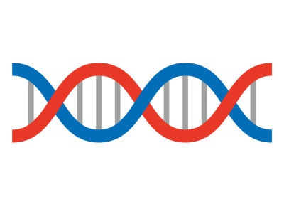 DNA