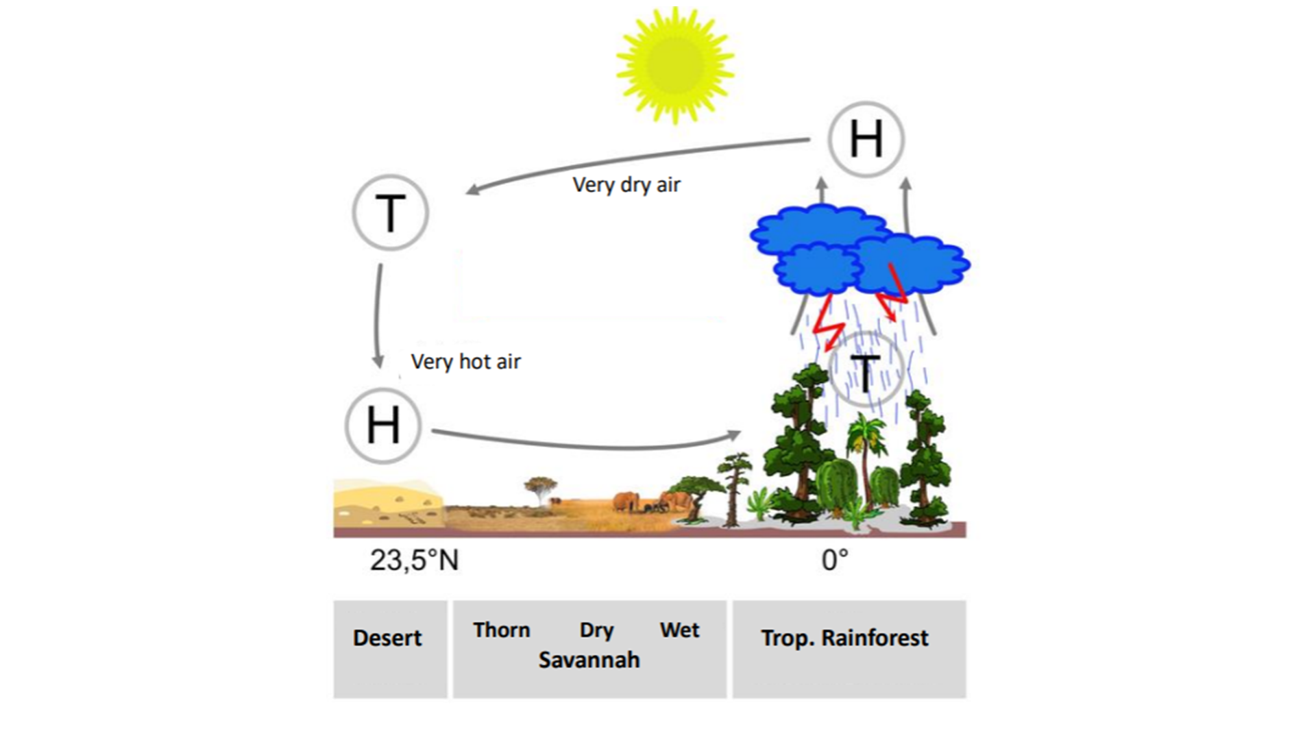 Tropical climate