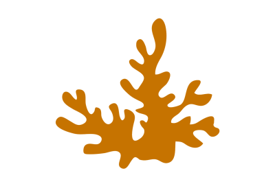 Corail