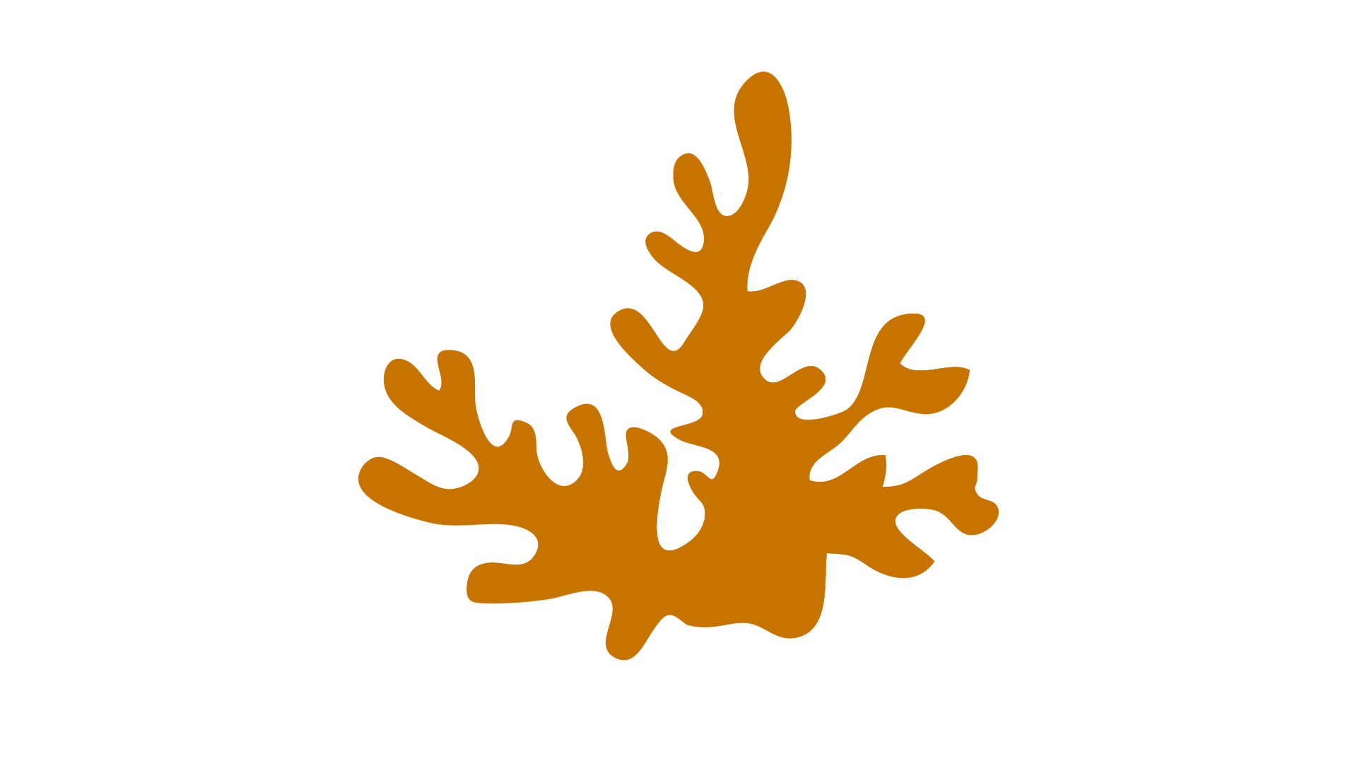 coral
