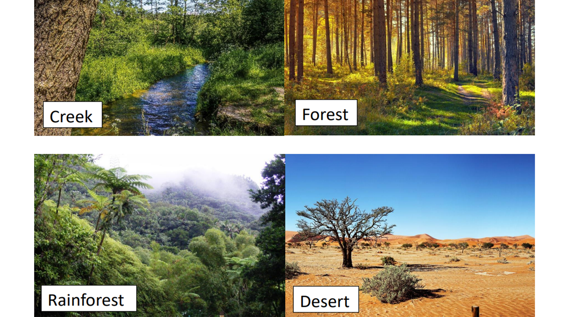 habitats