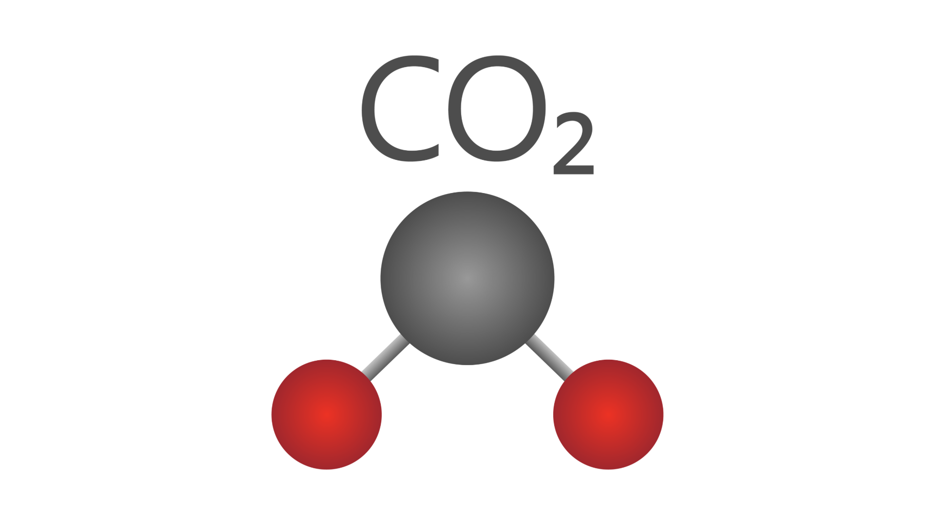 molecule